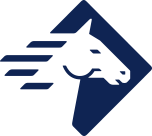 paladin-logo-image